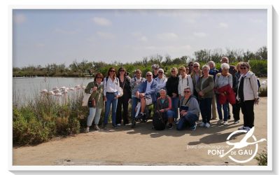 Visite du Parc Ornithologique du Pont de Gau